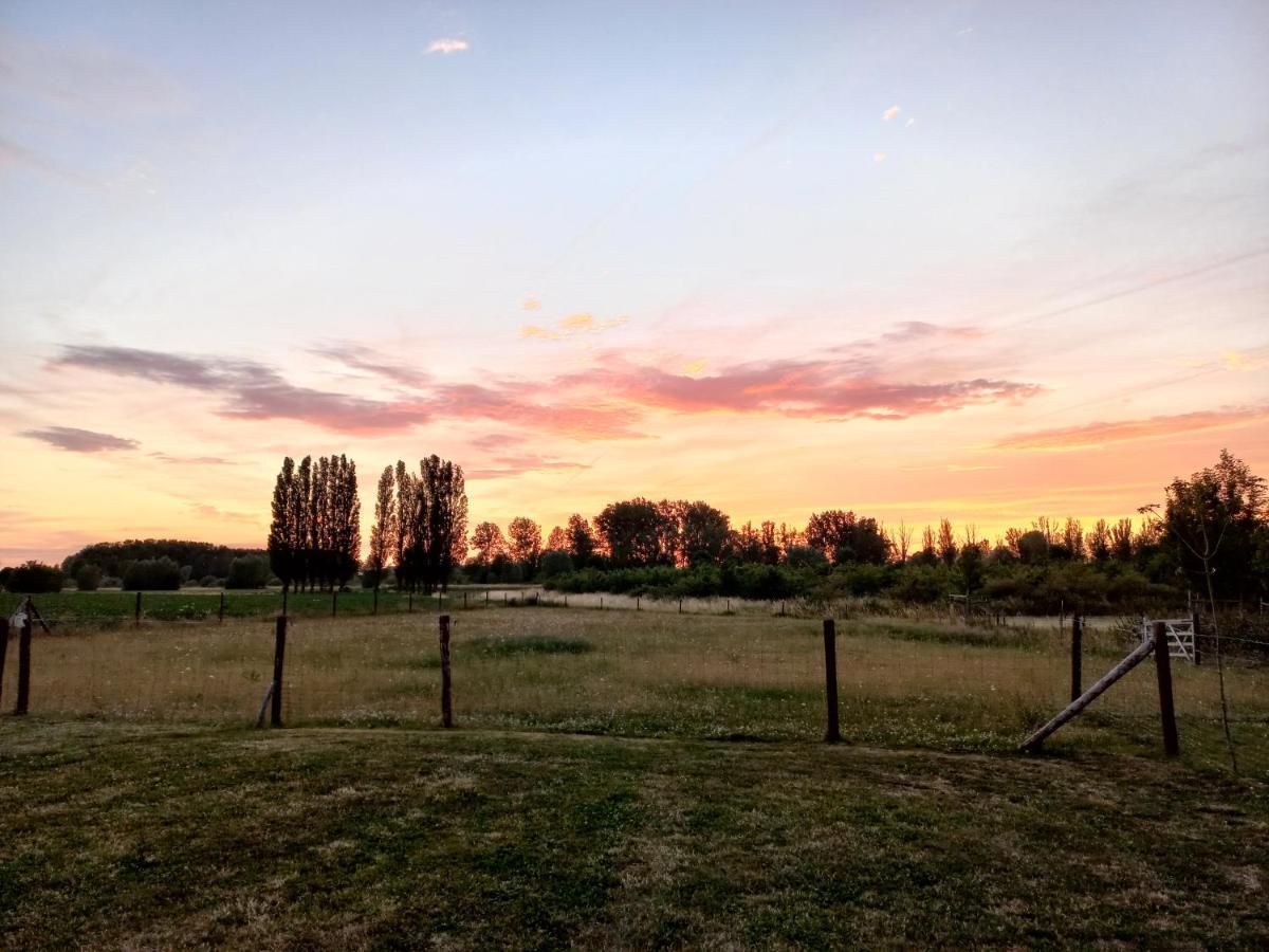 Holiday home Op 't Roth 12 Ruime Sfeervolle Vakantiewoning In 't *